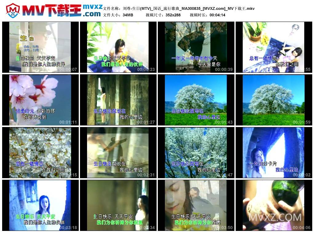 刘尊-生日(MTV)_国语_流行歌曲_MA300835